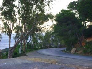 Route de Sidi Rached