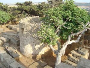 Ruines Romaines à Tipaza
