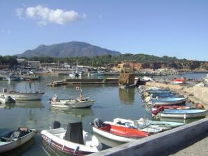 Le Petit Port  de Pêche de Tipaza