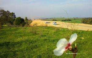 Projet Autoroute- TIPAZA