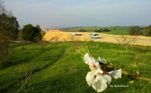 Projet Autoroute- TIPAZA