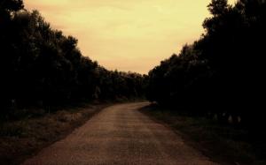 منظر من ضواحي غابة  مسيلة