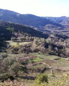 Izi-laazib (Aghbal) Tipaza,Algerie