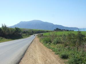 Route du Mont Chenoua  coté est