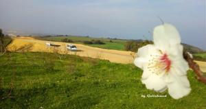 Projet Autoroute- TIPAZA