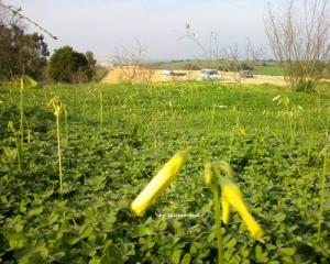 Projet Autoroute - TIPAZA