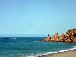 Au bord d'une Plage de Tipaza