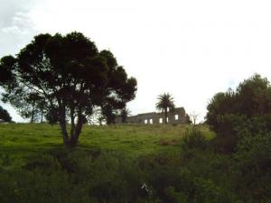 Ruine coloniale à  Damous