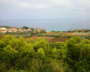 Sur la Route de Sidi-Rached