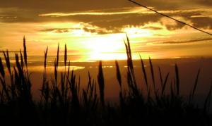 Coucher de Soleil sur Tipaza