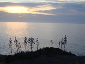 Coucher de soleil à Ain Tagourait