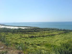 Près de Bou Ismaïl, Tipaza