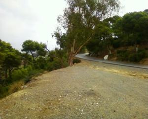 Route de Sidi-Rached à Tipaza