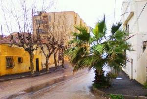 Une Rue à Bou ismail