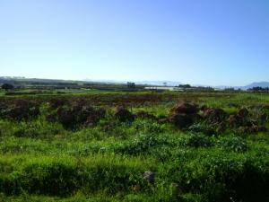 Sur la Route de Chaïba