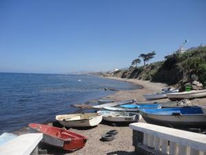 Petit Port de Pêche à Tipaza