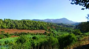 la Source - Vue sur Chenoua Panorama