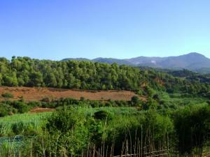 Chenoua vue du Sud