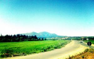 Entré Est de la ville de Hadjout