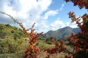 Aghbal  Zadra à l'arrivée de l'automne