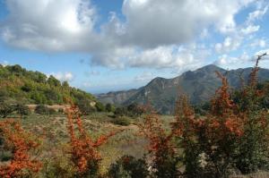 Commune de Aghbal  Zadra en automne