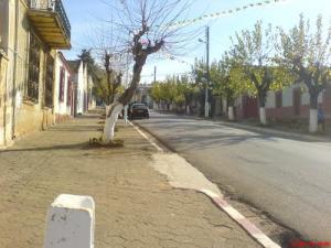 Rue Principale à Khemisti