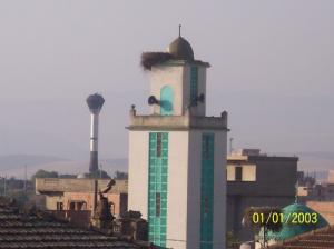 Mosquée  Abdelhamid Ibn Badis  à Grarem Gouga