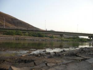 Oued El Kebir près de  Boughardayn