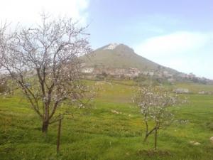 Le Printemps sur la périphérie de Rouached