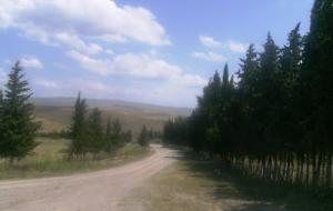 La route du Cimetière de Zeghaia