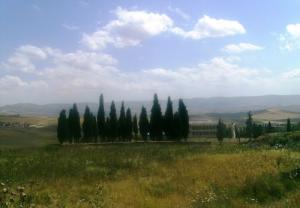 Cimetière Chrétien de Zeghaia