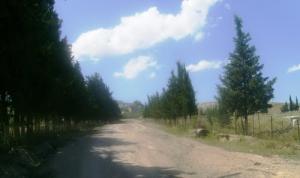 Route du Cimetière de Zeghaia