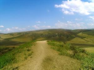 Verdure dans la périphérie de Zeghaia