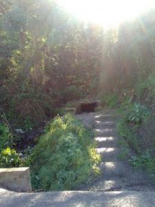 Paysage de Tassadane