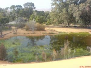 بحيرة ببلدية  عين صفرة