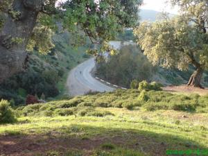 Paysage de Tacheta Zougara