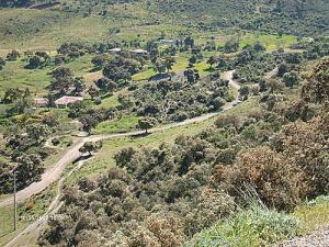 Paysage de Sidi Medjahed