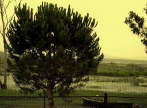 منظر من  بحيرة الطيور  بولاية  الطارف