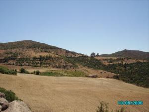 Vignoble disparu à Ben Allel