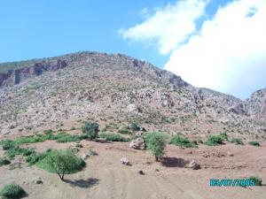 Région de Zaccar (Déforestation)
