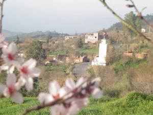 Mosquée de Ain Berkouk