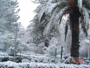 Neige sur le Jardin Public de Miliana