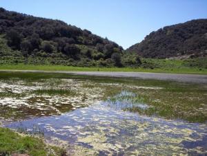 Le Lac de Tamesguida
