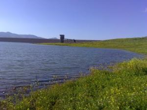 Rives du Barrage de Djelida