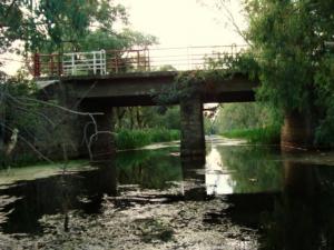 جسر  وادي طانڨة  ببلدية  أم طبول