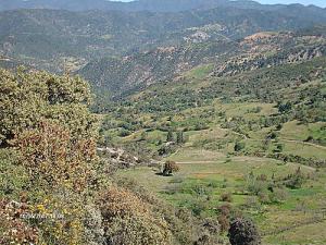 S-Medjahed (Face Nord) Miliana