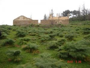 Maison des Gardes Forestiers à Tamezguida