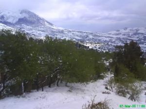 Paysage de Ain Defla sous la Neige