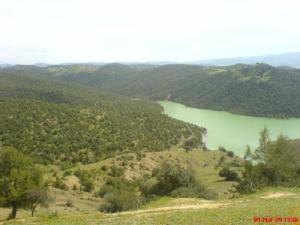 Paysage de Ain Defla