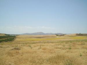 Terrains Agricoles au printemps